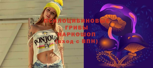 дмт Богданович