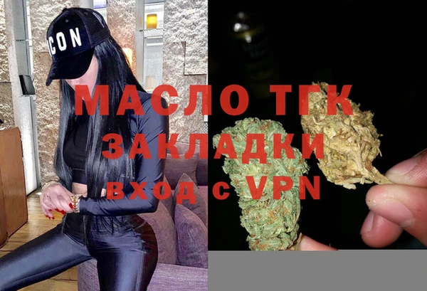 дмт Богданович