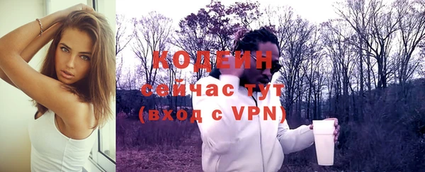 дмт Богданович