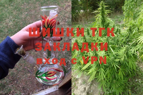 дмт Богданович