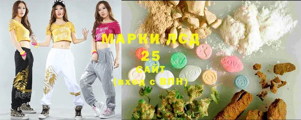 дмт Богданович