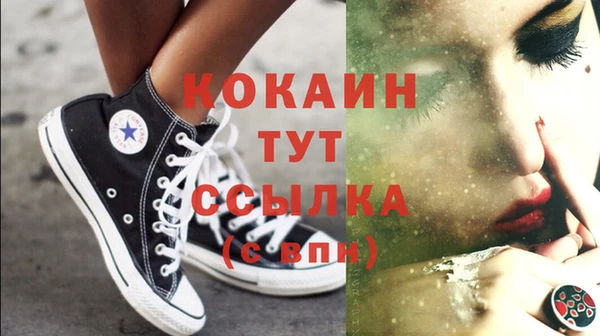 дмт Богданович