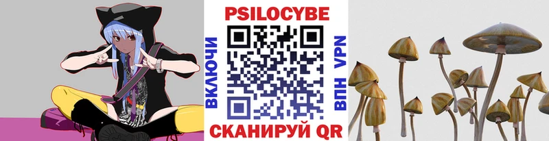 Галлюциногенные грибы Psilocybe  даркнет сайт  Невьянск 